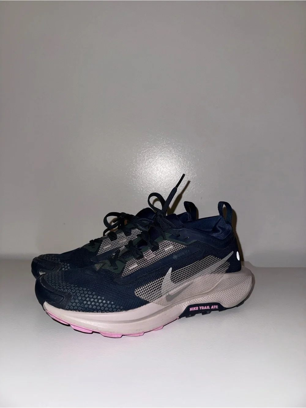 Nike Dark Gore-Tex Trail Shoes